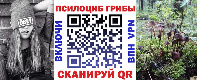 купить наркотик  Игра  Галлюциногенные грибы Magic Shrooms 